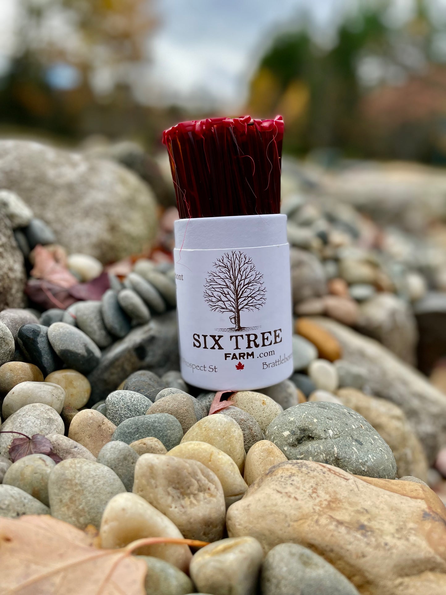 Maple Saplings - Maple Sticks - Maple Straws - 100% Pure State of Vermont Maple Syrup